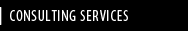 Consulting Services